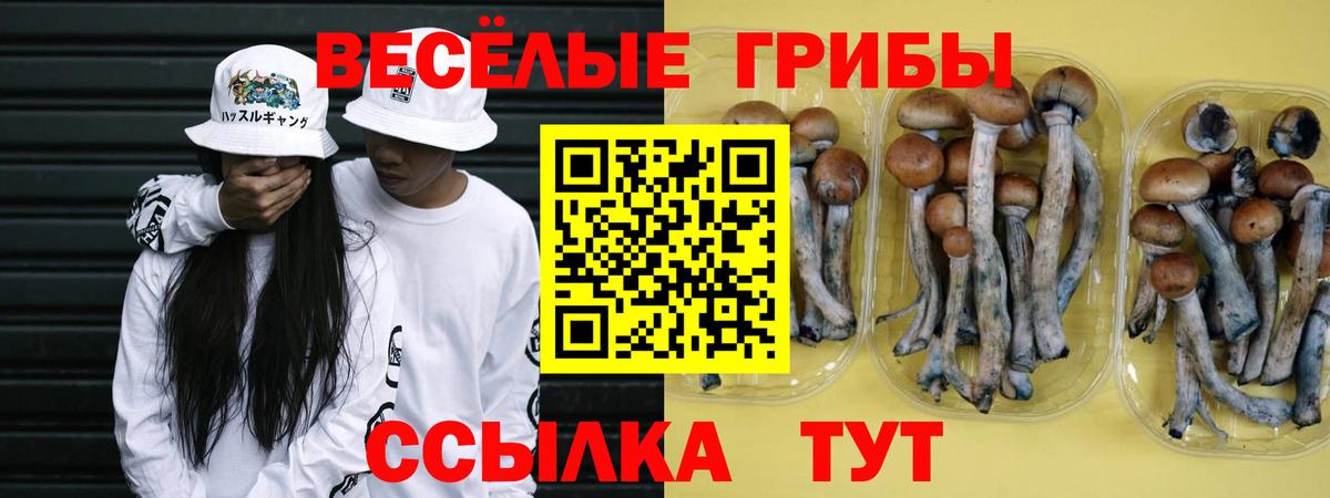 Галлюциногенные грибы Magic Shrooms  Вход с VPN  что такое   Заринск 