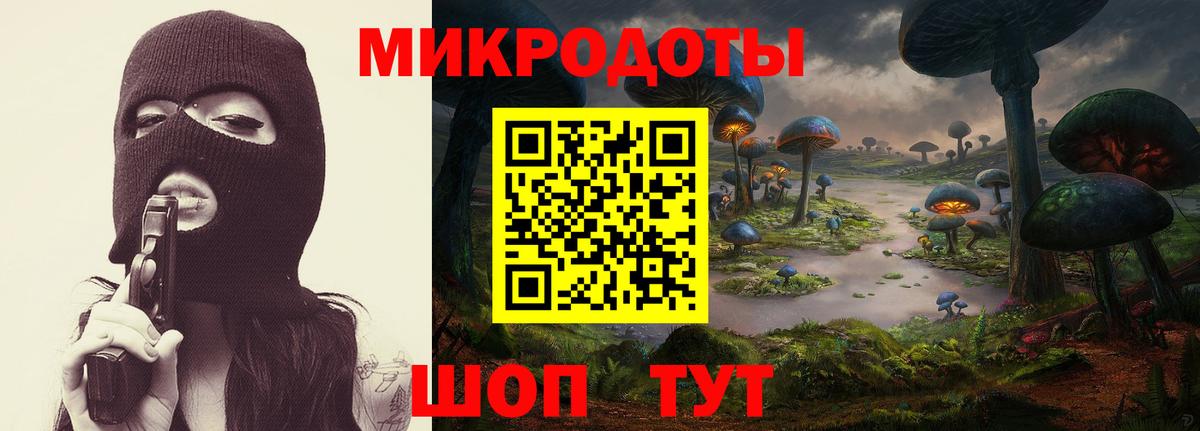 Галлюциногенные грибы Cubensis Заринск